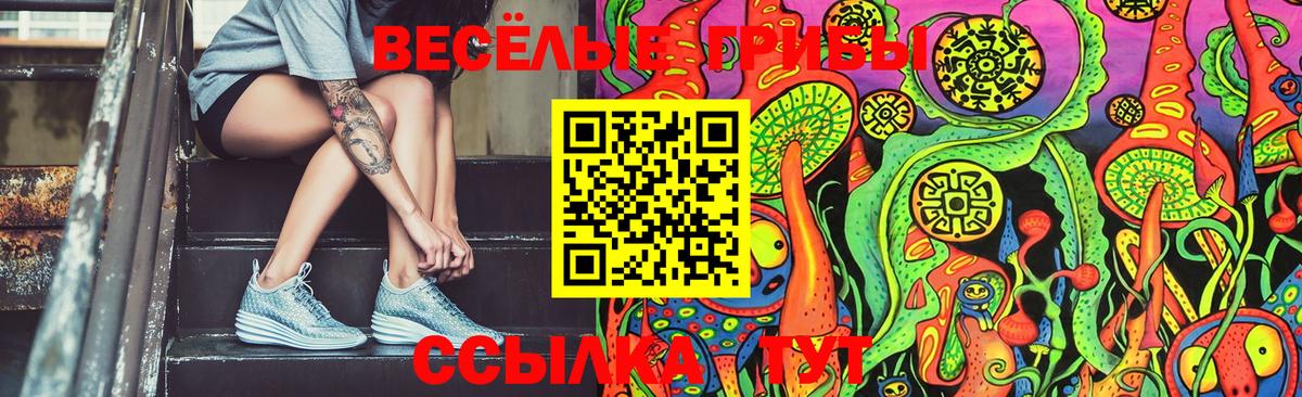 Галлюциногенные грибы MAGIC MUSHROOMS  Галлюциногенные грибы ЛСД  Солнечногорск  Вход с VPN 