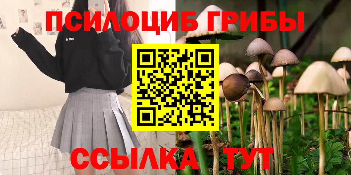 Галлюциногенные грибы прущие грибы Солнечногорск